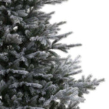 Everlands Grandis Fir Snowy Green - Sapin de Noël - Ø150xH210 cm - Sapin Belge