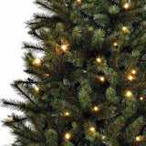 Arbre de Noël Artificiel Black Box Trees Kingston avec Siècle des Lumières LED - H155 cm - Vert - Sapin Belge