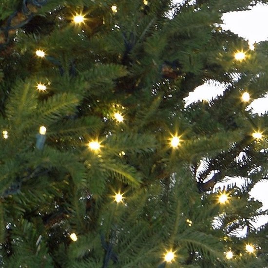 Black Box Trees - Frasier X-mas tree - LED - vert - h155xd109cm - Sapin Belge