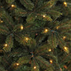 Triumph Tree - CHRISTMAS TREE LED BRISTLECONE FIR H230 D153 D.GREEN 304L CONSEILS 1168 - Sapin Belge
