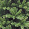 Triumph Tree - Sapin de Noël Forrester vert TIPS 1656 - h260xd157cm- Sapins de Sapins de Noël - Sapin Belge
