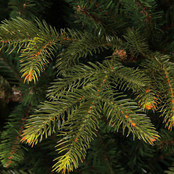 Black Box Trees - Frasier X-mas tree - LED - vert - h155xd109cm - Sapin Belge