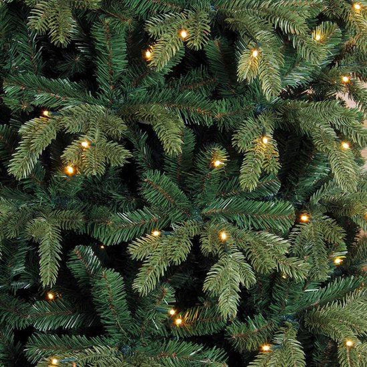 Triumph Tree Sapin de Noël artificiel LED Deluxe Sherwood Spruce Dimensions - Sapin Belge