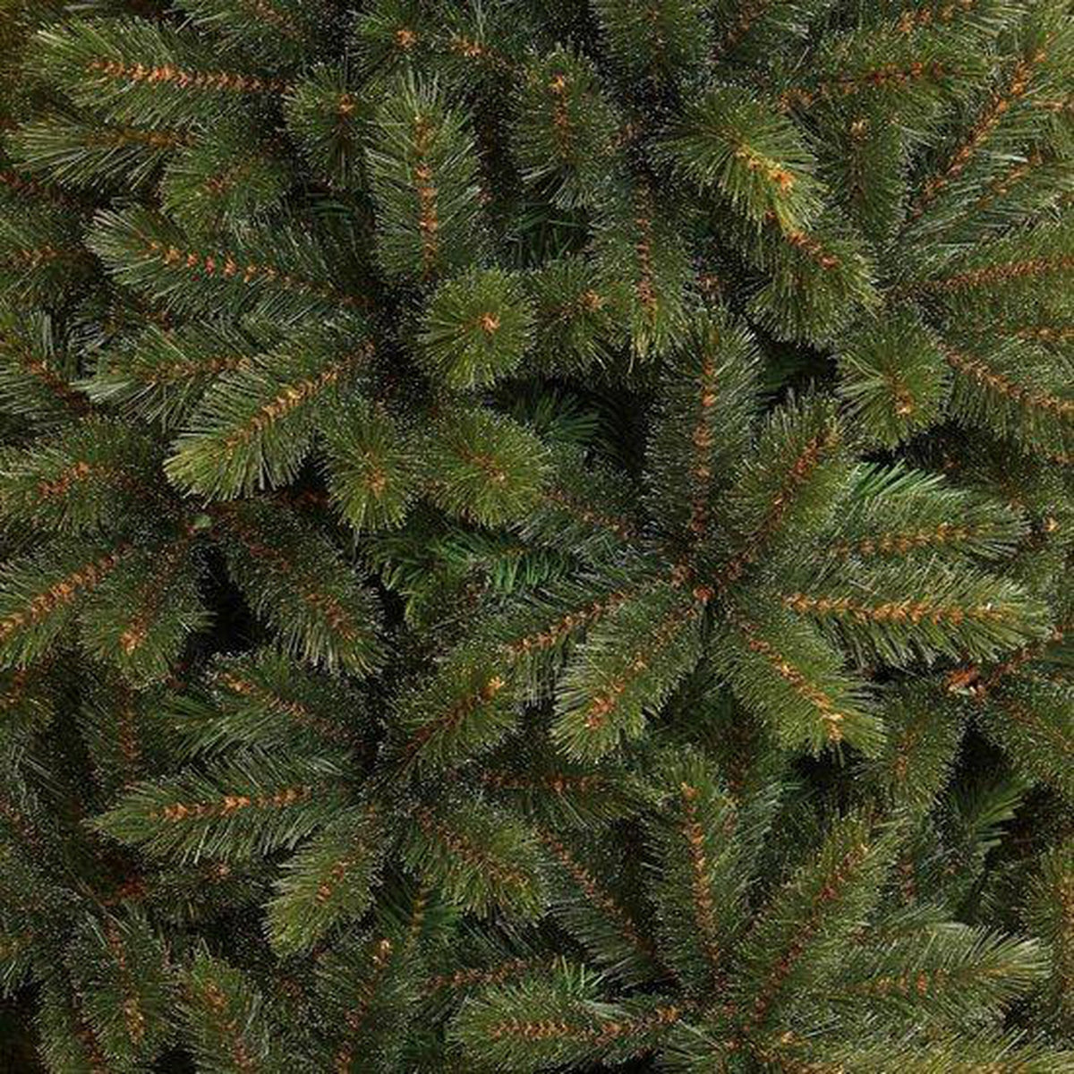 Triumph Treekerstboom Forest Frosted H155D119 Pointes vertes 618 - Sapin Belge