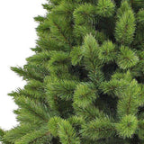 Triumph tree - Sapin de Noël camden dimensions en cm: 215 x 142 vert - Sapin Belge