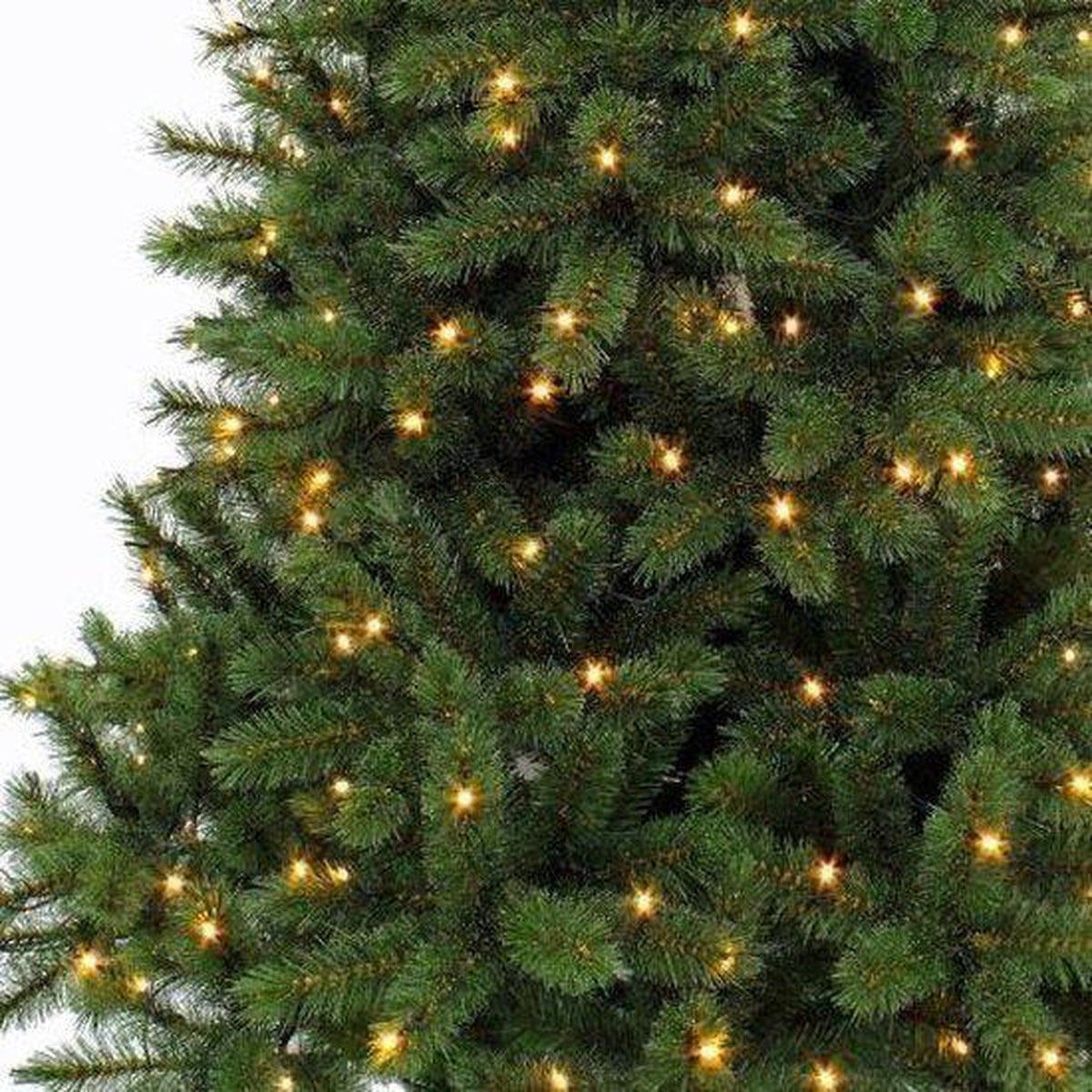 Triumph Tree Sapin de Noël artificiel LED Bristlecone sapin taille en cm: 155 x 99 vert foncé 144 lumières - Sapin Belge