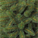 Triumph Tree Bristlecone Fir - Sapin de Noël artificiel hauteur 155 cm - Sans éclairage - Sapin Belge