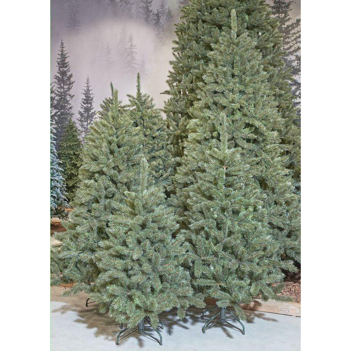 Triumph Treekerstboom Forest Frosted H155D119 Pointes vertes 618 - Sapin Belge