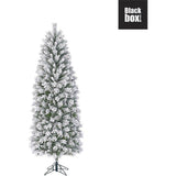 Black Box Trees - Sapin de Noël Chandler slim vert givré TIPS 538 - h215xd74cm - Sapins de Sapins de Noël - Sapin Belge