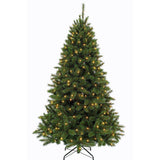 Triumph Tree - CHRISTMAS TREE LED BRISTLECONE FIR H230 D153 D.GREEN 304L CONSEILS 1168 - Sapin Belge