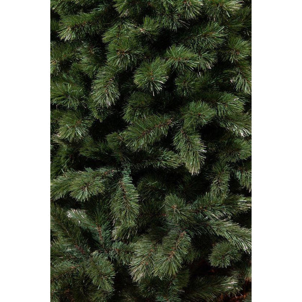 Triumph tree - Sapin de Noël camden dimensions en cm: 215 x 142 vert - Sapin Belge