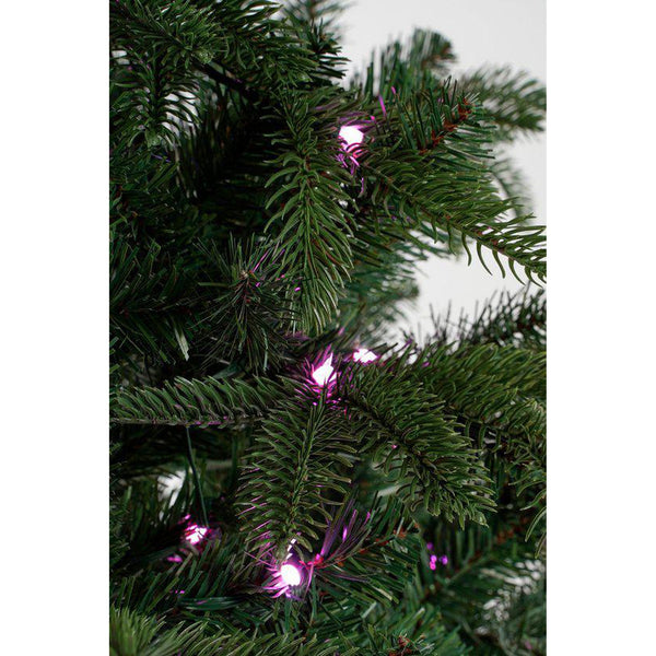 Black Box Trees Éclairage Smart Sapin de Noël Artificiel Nestow - H155 x Ø107 cm - Vert - Sapin Belge