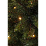 Triumph Tree Sapin de Noël artificiel LED Bristlecone sapin taille en cm: 155 x 99 vert foncé 144 lumières - Sapin Belge