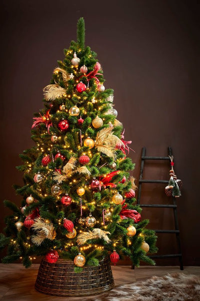 Triumph tree - Sapin de Noël camden dimensions en cm: 215 x 142 vert - Sapin Belge