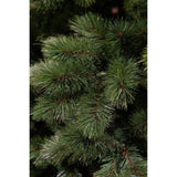 Triumph tree - Sapin de Noël camden dimensions en cm: 215 x 142 vert - Sapin Belge