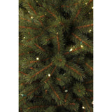 Arbre de Noël Artificiel Black Box Trees Kingston avec Siècle des Lumières LED - H155 cm - Vert - Sapin Belge