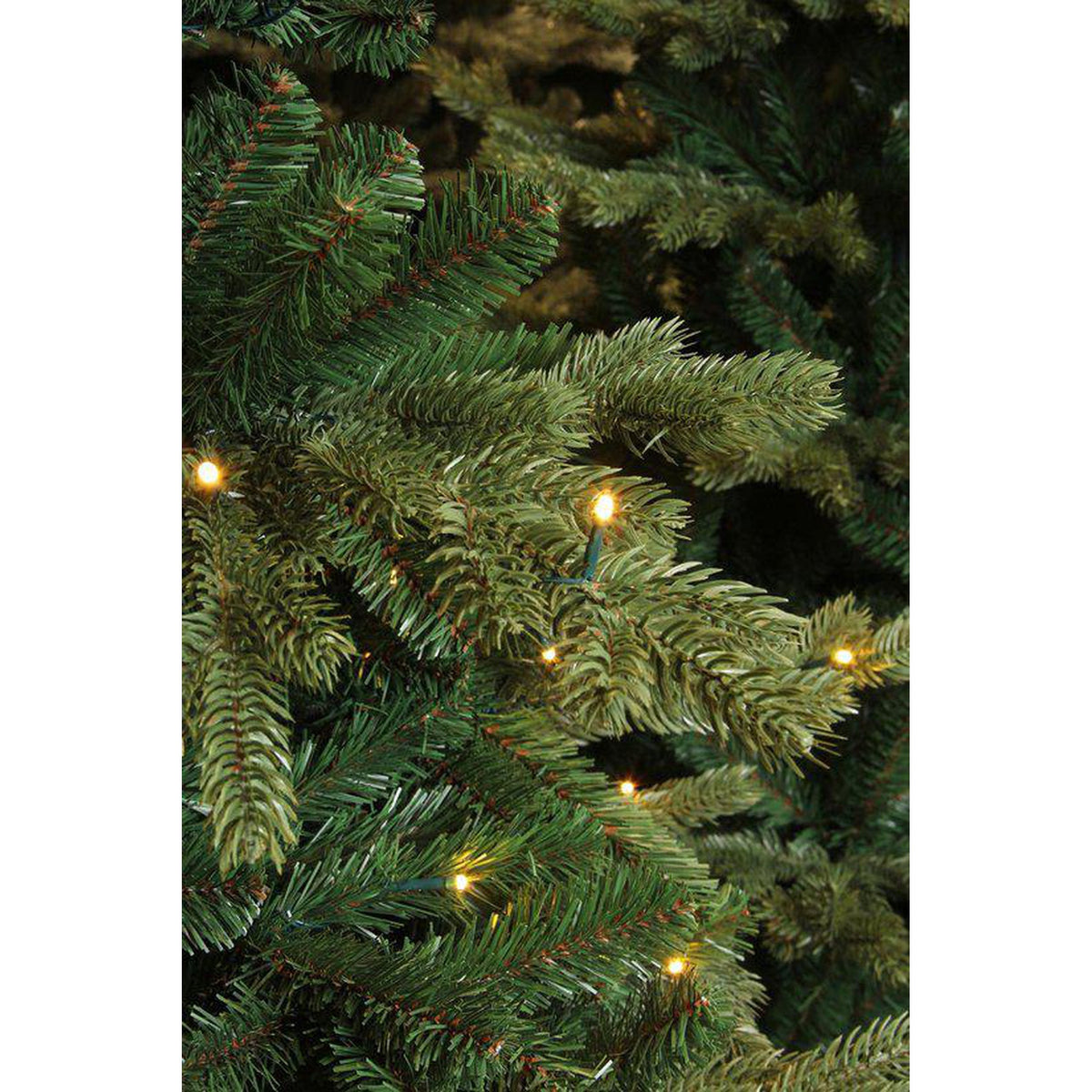 Triumph Tree Sapin de Noël artificiel LED Deluxe Sherwood Spruce Dimensions - Sapin Belge