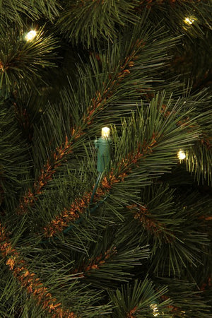 Arbre de Noël Artificiel Black Box Trees Kingston avec Siècle des Lumières LED - H155 cm - Vert - Sapin Belge
