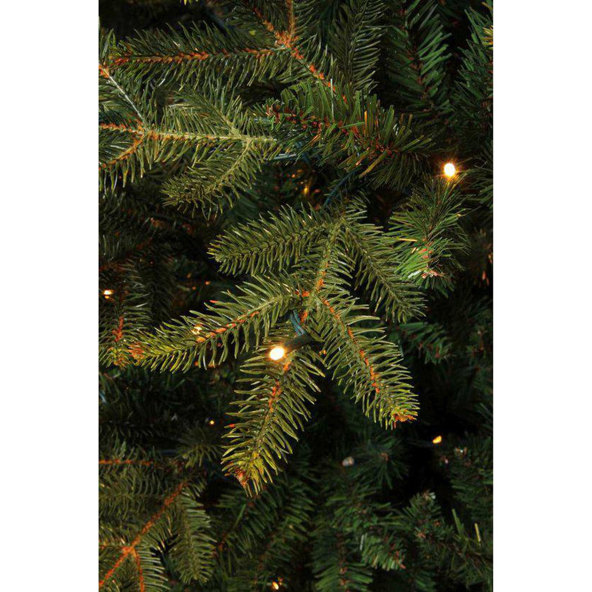 Black Box Trees - Frasier X-mas tree - LED - vert - h155xd109cm - Sapin Belge