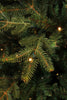 Black Box Trees - Frasier X-mas tree - LED - vert - h155xd109cm - Sapin Belge