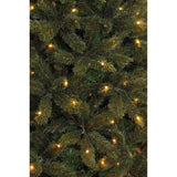 Triumph Tree Sapin de Noël artificiel LED Bristlecone sapin taille en cm: 155 x 99 vert foncé 144 lumières - Sapin Belge