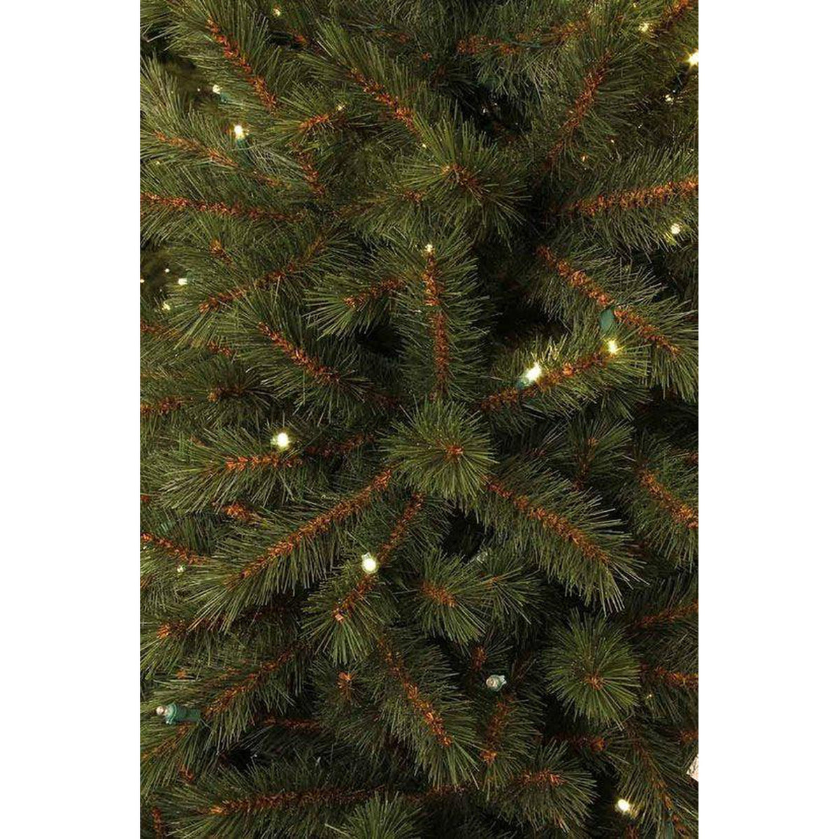 Sapin de Noël Artificiel Black Box Finest - 170 lumières LED blanc chaud - H185 x Ø102 - Vert - VERT - Sapin Belge