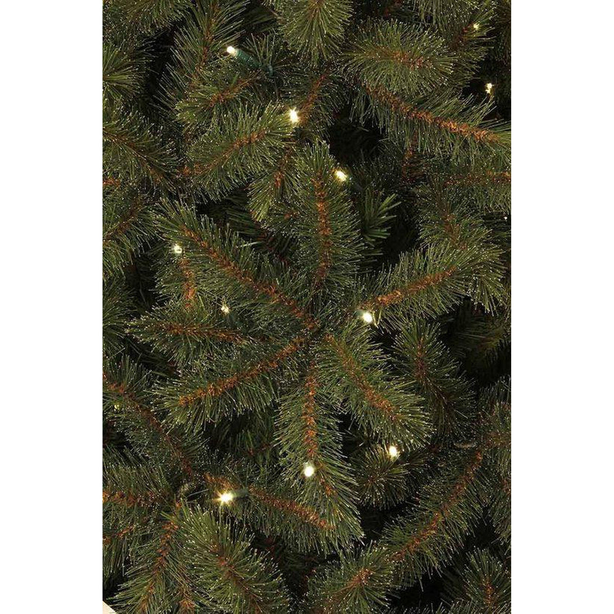 Sapin de Noël Artificiel Premium Black Box Finest - 180 lumières LED blanc chaud - H155 x Ø114 - Vert - VERT - Sapin Belge