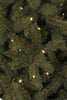 Sapin de Noël Artificiel Premium Black Box Finest - 180 lumières LED blanc chaud - H155 x Ø114 - Vert - VERT - Sapin Belge