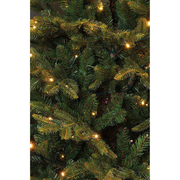 Black Box Trees - Frasier X-mas tree - LED - vert - h155xd109cm - Sapin Belge