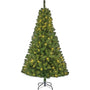 Sapin de Noël artificiel Charlton led vertBlack Box - Sapin Belge