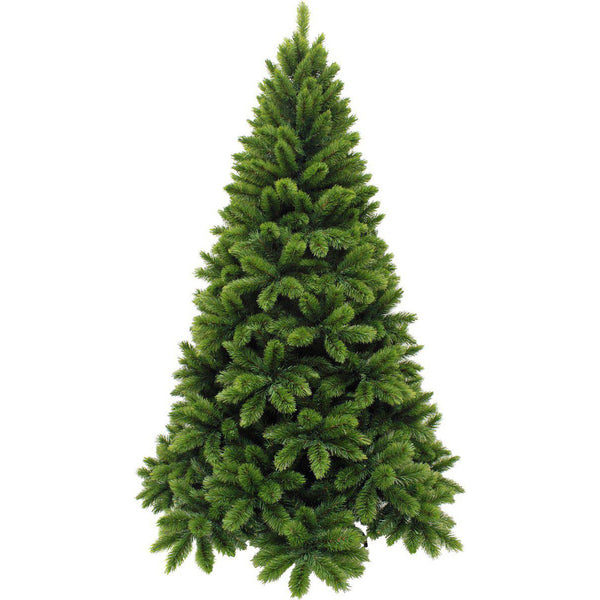 Triumph Tree - Sapin de Noël Tsuga vert TIPS 386 - Sapin Belge