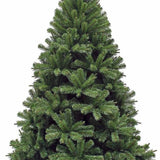 Triumph Tree - Sapin de Noël Forrester vert TIPS 1656 - h260xd157cm- Sapins de Sapins de Noël - Sapin Belge