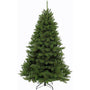 Triumph Tree - Sapin Belge