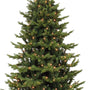 Triumph Tree de Noël artificiel Sherwood - 215 x 135 cm - Vert - 288 LED blanc chaud - Sapin Belge