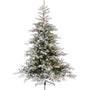 Everlands Grandis Fir Prelit Snowy Green - Sapin Belge