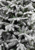 Black Box Trees - Sapin de Noël Frasier vert givré TIPS 1189 - h155xd109cm- Sapins de Sapins de Noël - Sapin Belge