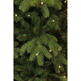 Black Box Trees - Brampton x-mas tree led slim green 240L TIPS 1675 - h215xd125cm - Sapin Belge