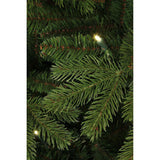 Black Box Trees - Brampton x-mas tree led slim green 240L TIPS 1675 - h215xd125cm - Sapin Belge