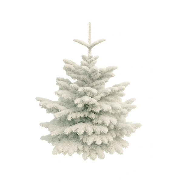 Sapin de Noël Nordmann floqué blanc
