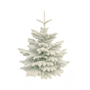 Sapin de Noël Nordmann floqué blanc