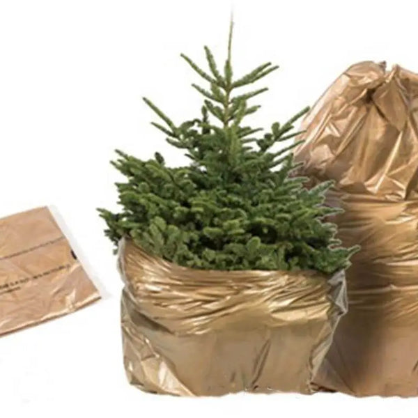 Sac à sapin doré 100% biodégradable - Sapin Belge