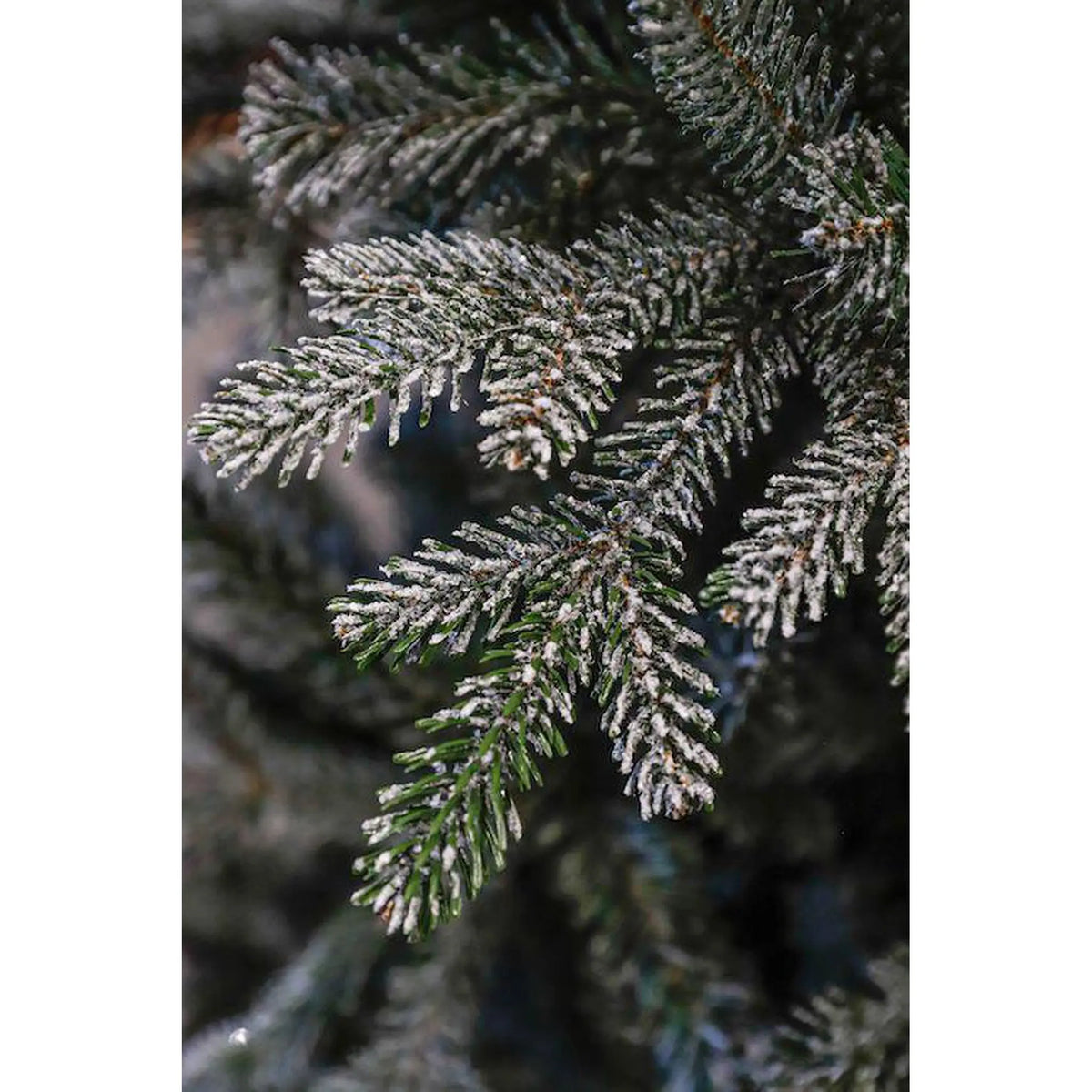 Sapin artificiel - Celits Frosted - h185xd112cm - Sapin Belge