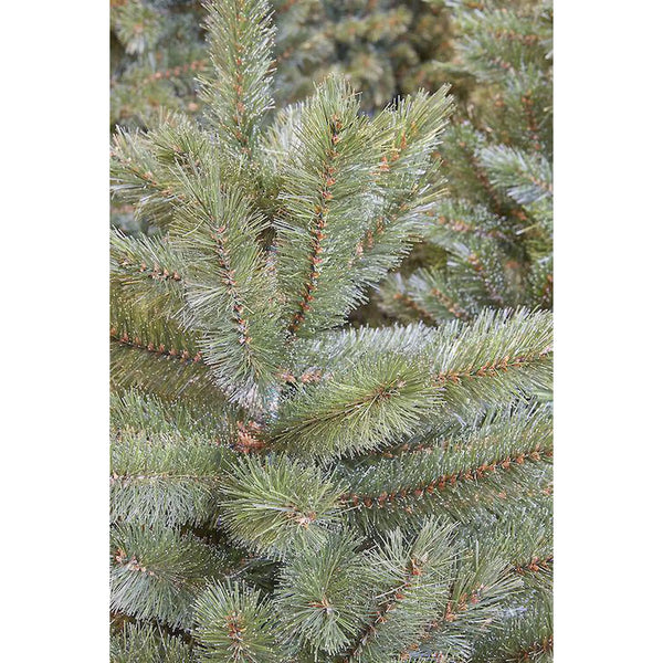 Sapin artificiel - Forest pin Frosted - h215xd140cm - Sapin Belge