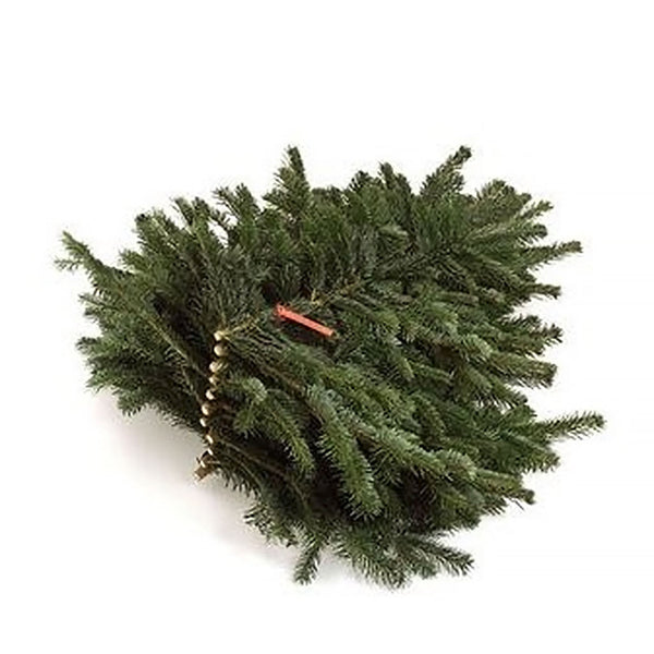 Branches de sapin naturelles Nordmann