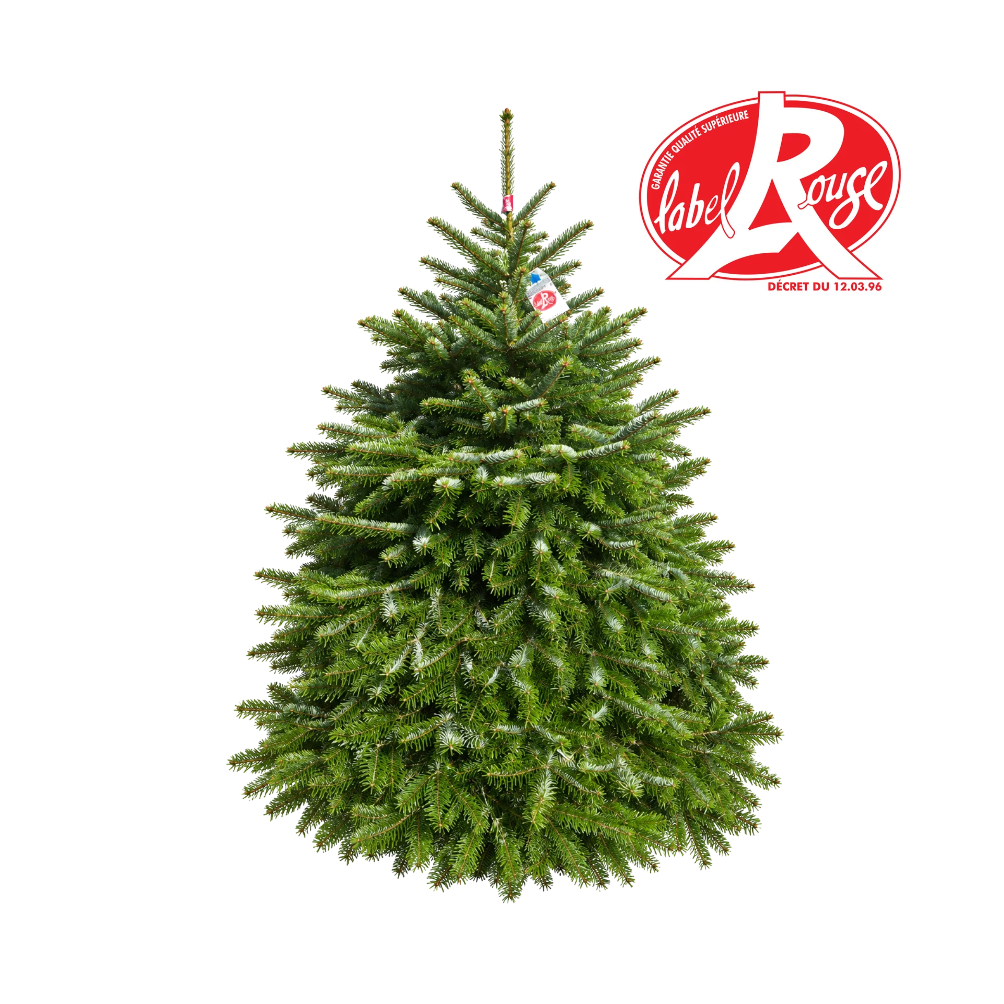 Sapin Nordmann Label Rouge