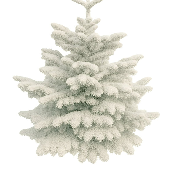 White flocked Nordmann fir