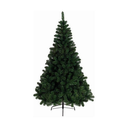 Sapin de Noël EDM Pin Vert (210 cm) - Sapin Belge