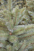 Sapin artificiel - Forest pin Frosted - h215xd140cm - Sapin Belge
